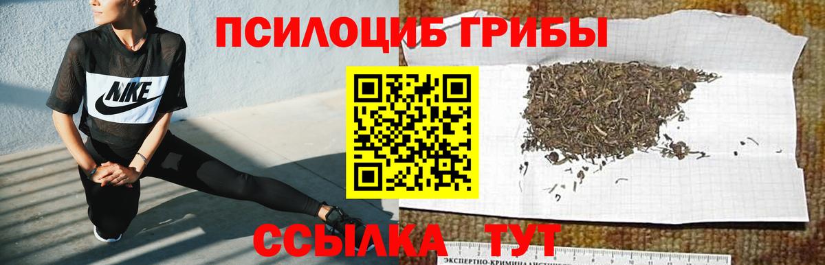 Старая Купавна  Галлюциногенные грибы MAGIC MUSHROOMS  Вход с VPN 